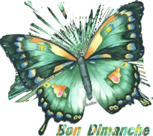 Gif animé Bon dimanche papillon